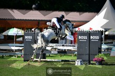 ref. photo 3639203