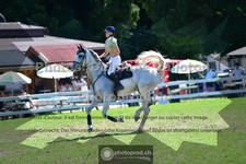 ref. photo 3639401