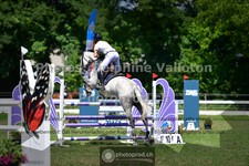 ref. photo 3639518