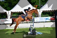 ref. photo 3639592