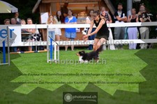 ref. photo 3639747