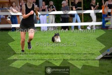 ref. photo 3639748