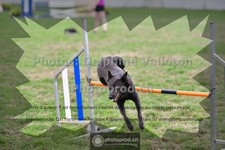 ref. photo 3639761