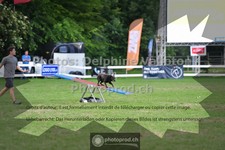 ref. photo 3639762