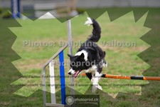 ref. photo 3639766