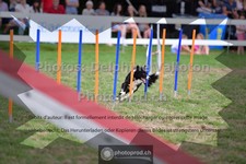 ref. photo 3639768