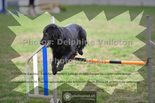 ref. photo 3639772