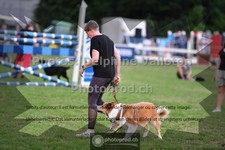 ref. photo 3639775