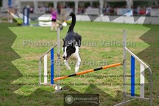 ref. photo 3639790