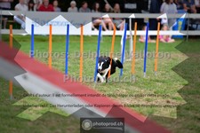 ref. photo 3639792