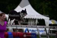 ref. photo 3639799