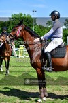 ref. photo 3639878