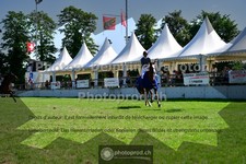 ref. photo 3639882
