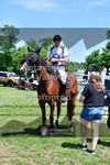 ref. photo 3639916