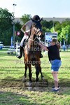 ref. photo 3640036
