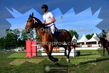 ref. photo 3640046