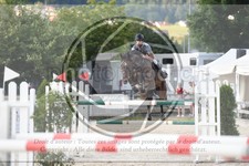 ref. photo 3687319