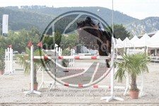 ref. photo 3687320