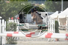 ref. photo 3687331