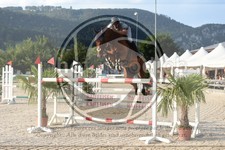 ref. photo 3687393