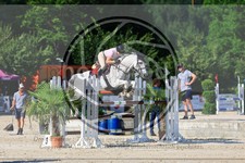 ref. photo 3687492