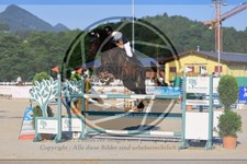 ref. photo 3687536
