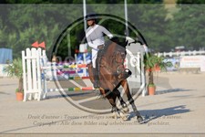 ref. photo 3687658