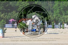 ref. photo 3687662
