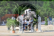 ref. photo 3687696