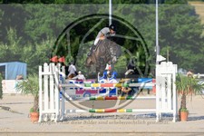 ref. photo 3687721