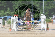 ref. photo 3687723