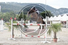 ref. photo 3687751