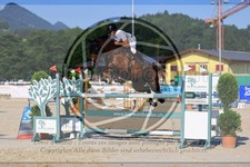 ref. photo 3687810