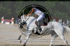 ref. photo 3687843