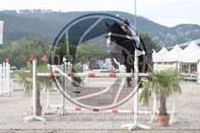 ref. photo 3687850