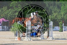 ref. photo 3688002