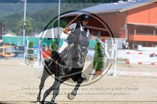 ref. photo 3688013