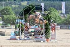 ref. photo 3688033
