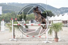 ref. photo 3688053