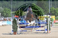 ref. photo 3688079