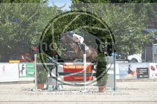 ref. photo 3688092