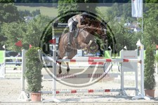 ref. photo 3688099