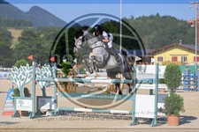 ref. photo 3688119