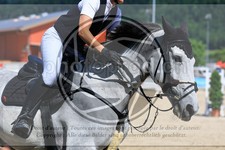 ref. photo 3688126