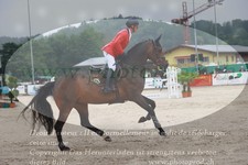 ref. photo 3231914