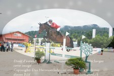 ref. photo 3231916