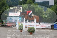 ref. photo 3231930