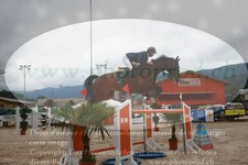 ref. photo 3232068