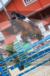 ref. photo 3232107