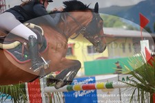 ref. photo 3232112